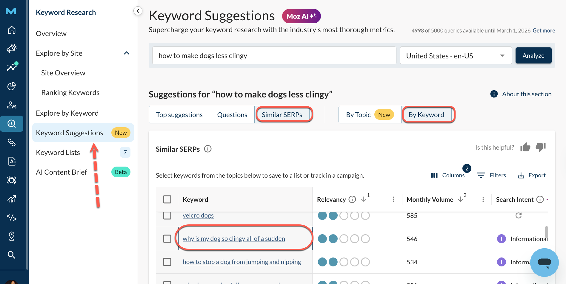 kw metrics for why is my dog so clingy all of a sudden